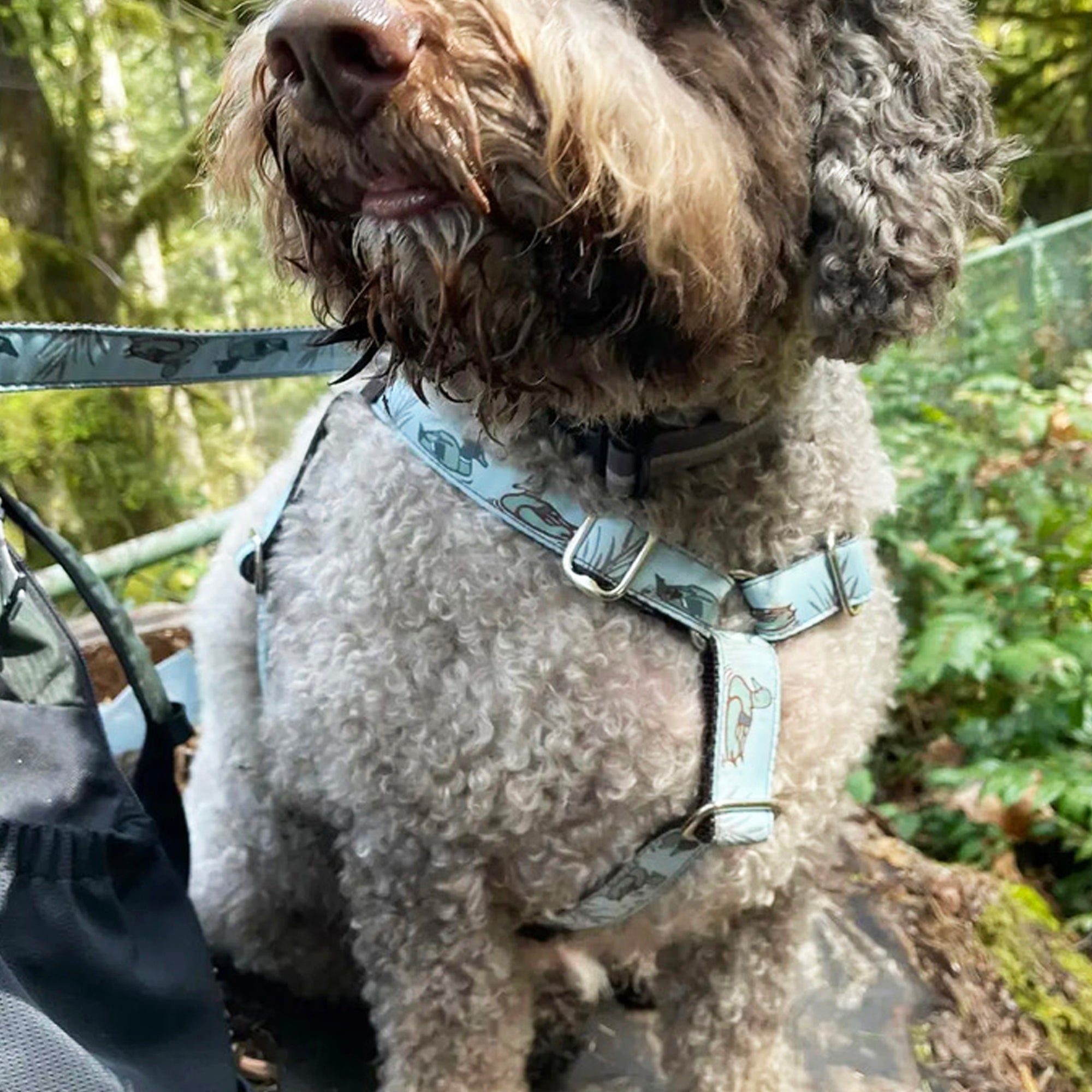 "Forest Friends" Leashes