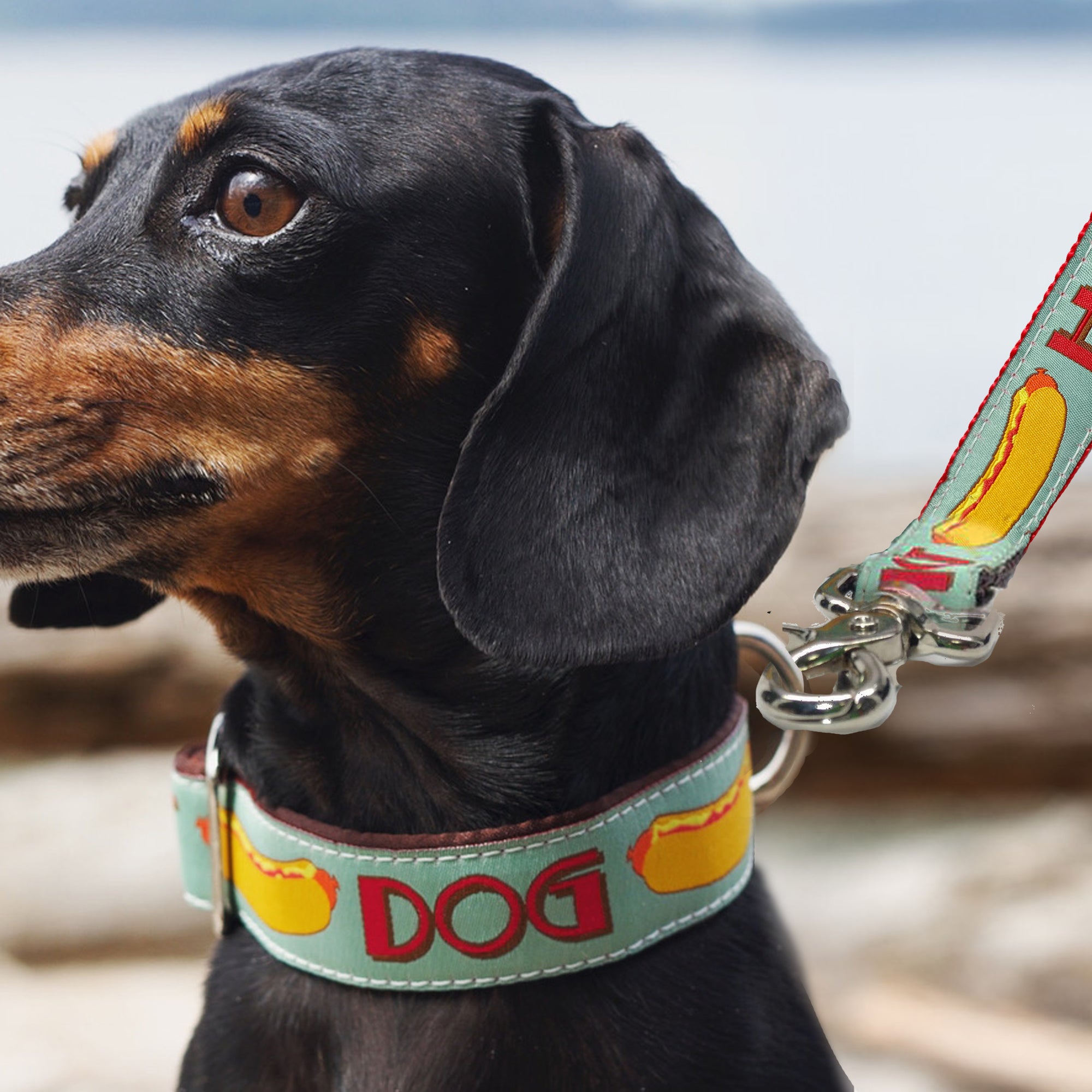 "Dog Themed" Leashes