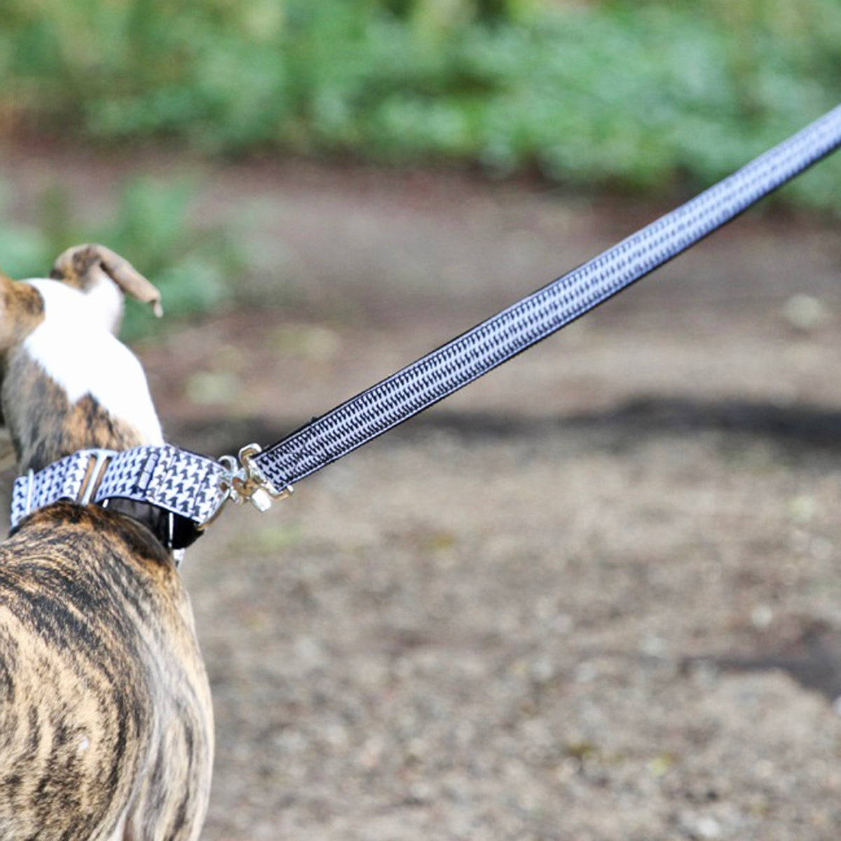 "Dog Themed" Leashes