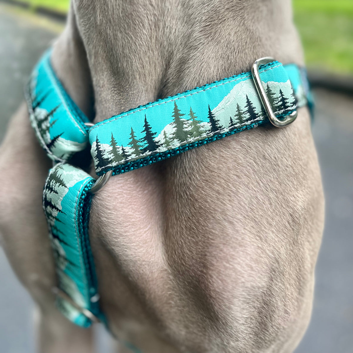 Hug It Out Harness: 1&quot; Forest Friends