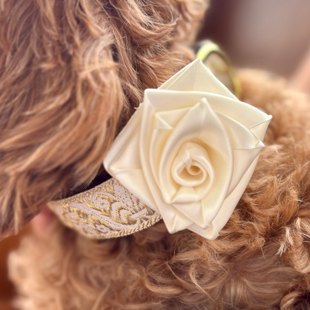 Hand-Rolled White Satin Rose