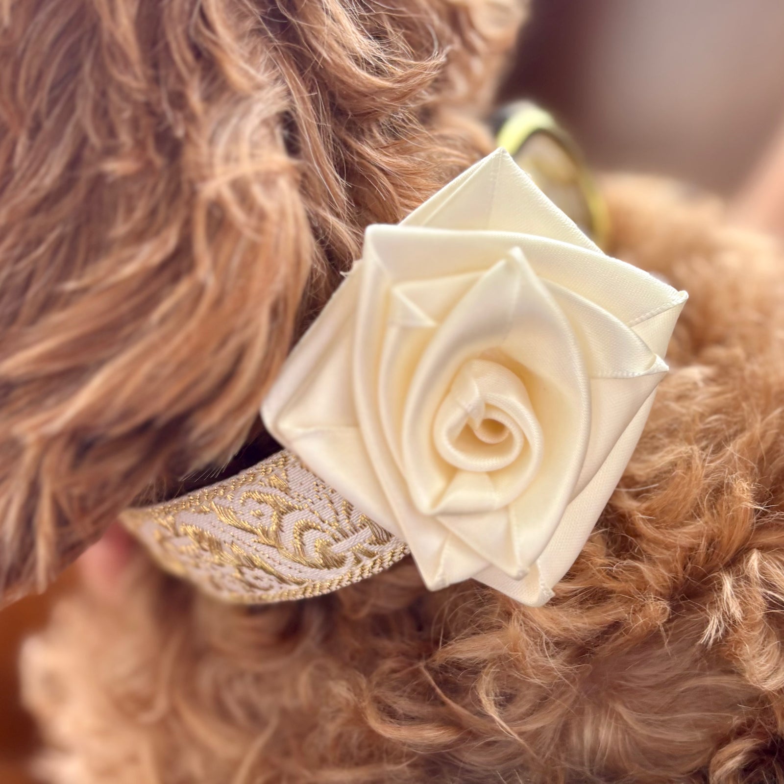 Hand-Rolled White Satin Rose