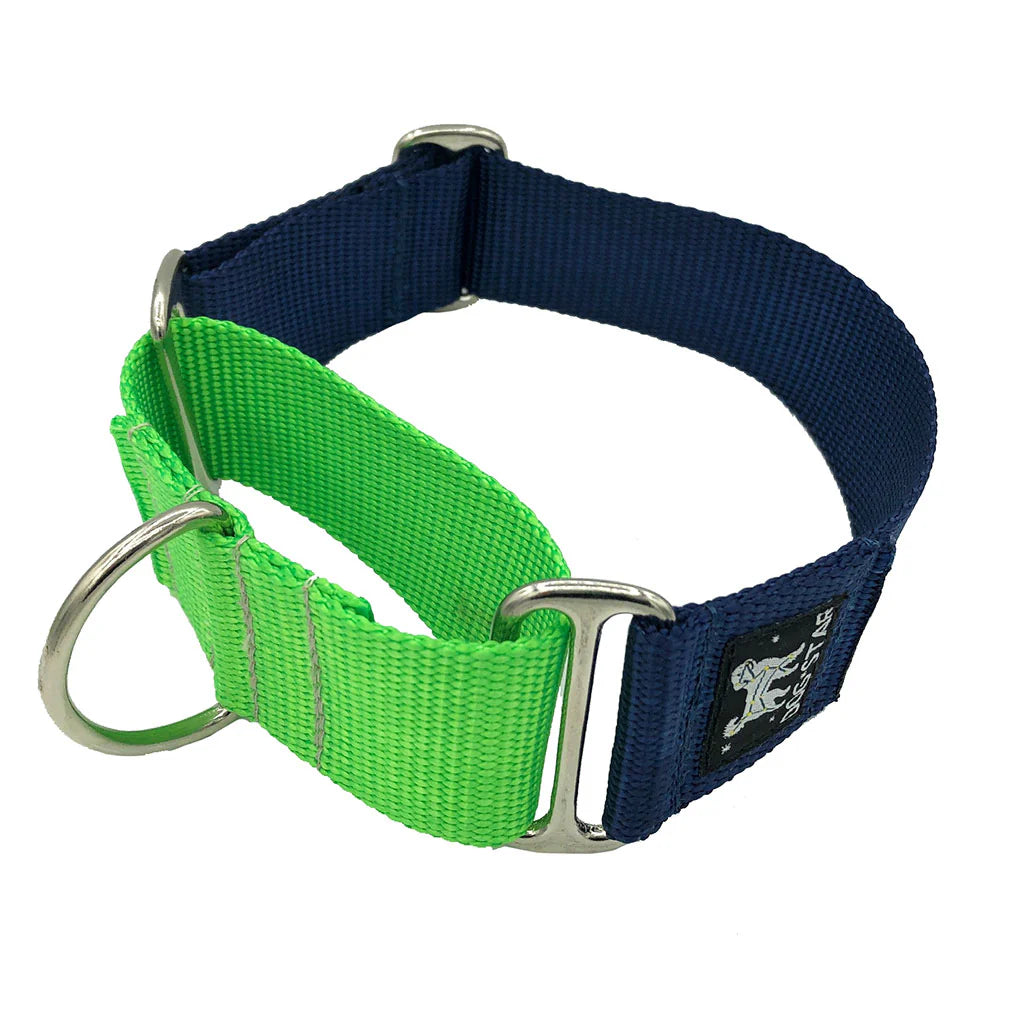 Color Pop Naked Nylon Martingale (5/8"-1" width)
