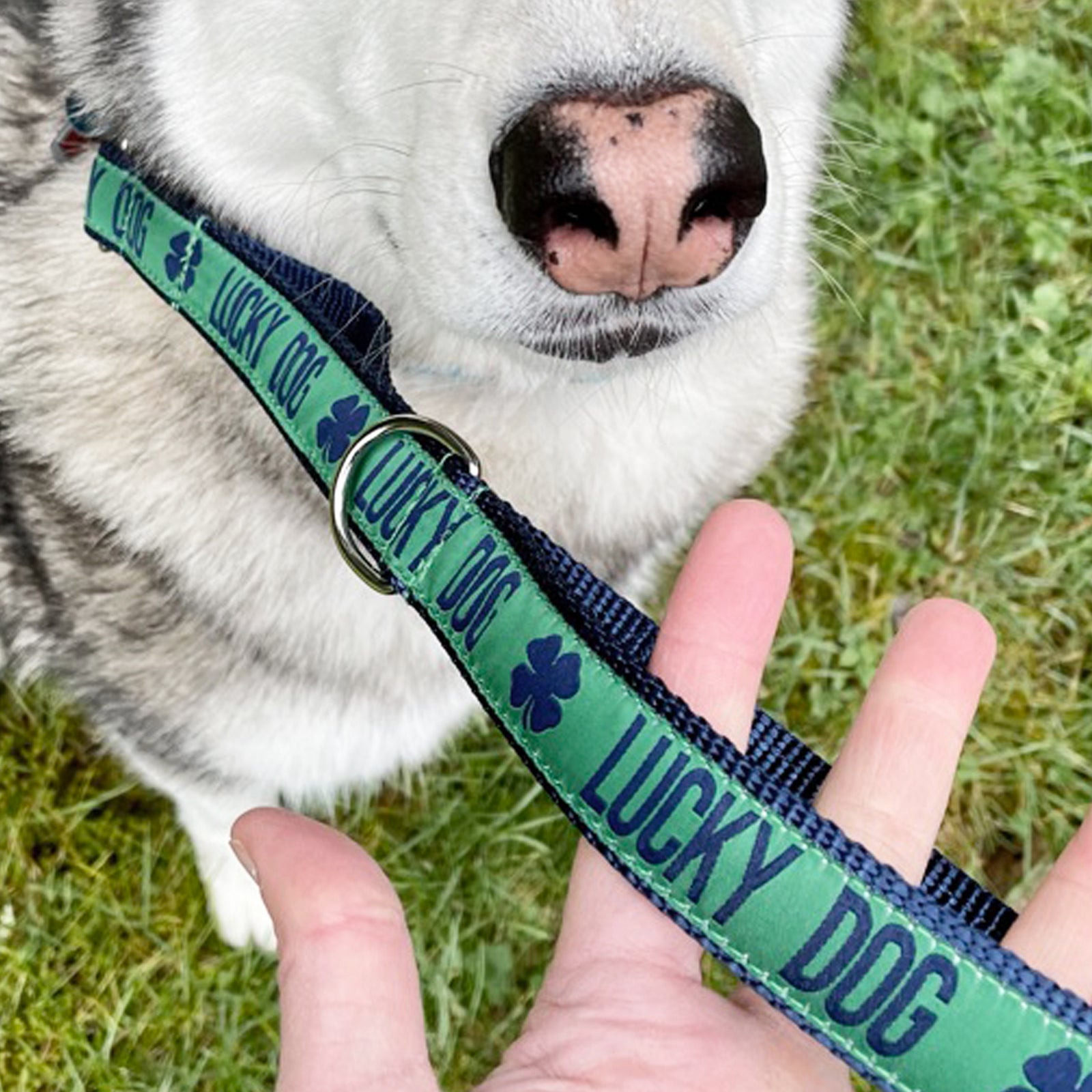 Traffic Handle: 1" A Word Please