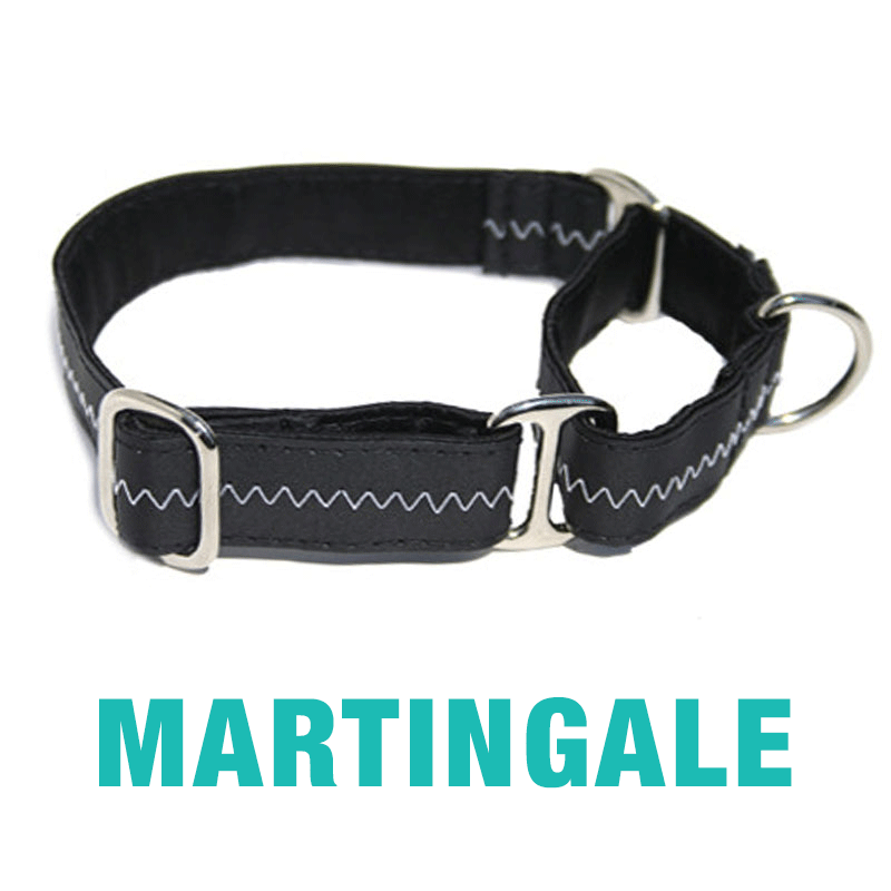 Martingale-Collar-Type-2024.gif