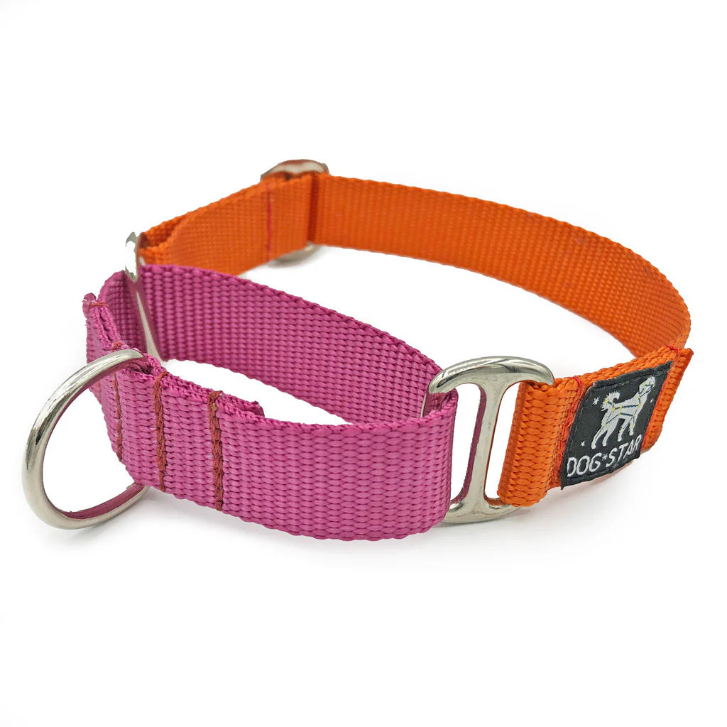 Color Pop Naked Nylon Martingale (5/8"-1" width)