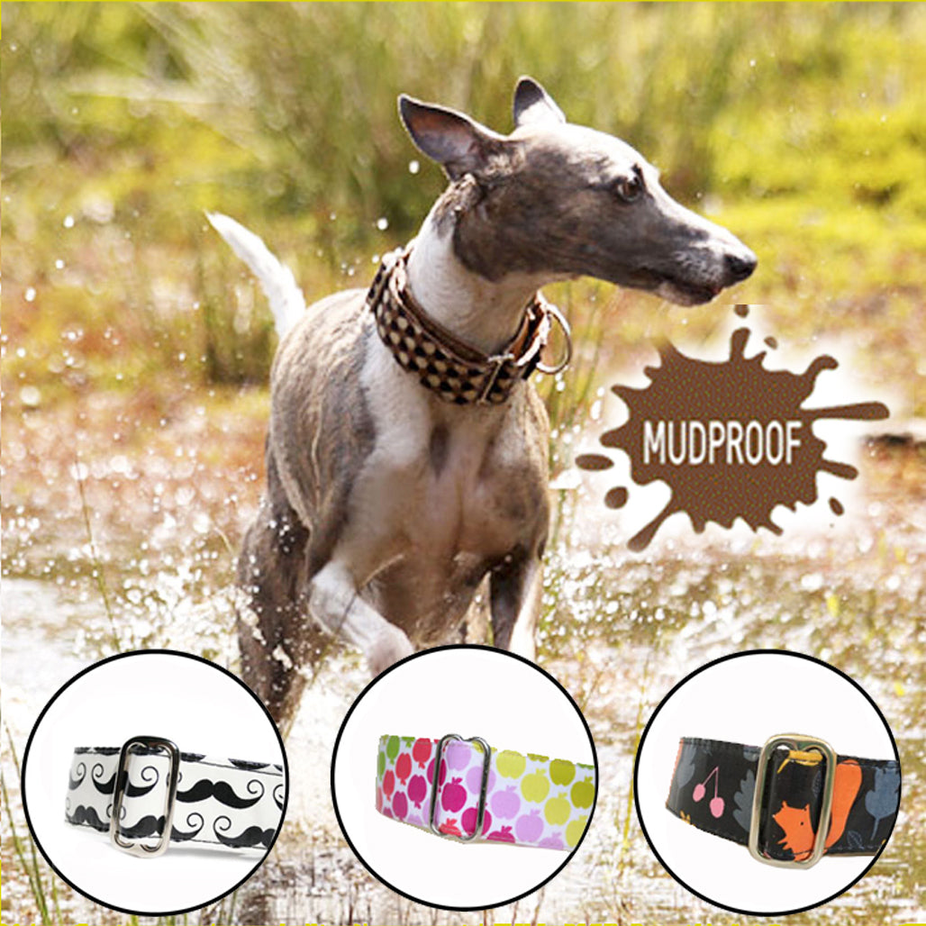 Mudproof Designs Collar