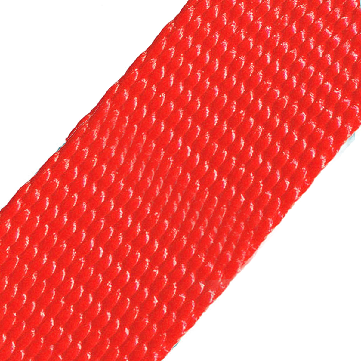 Naked Nylon Collar (1.5" Width)