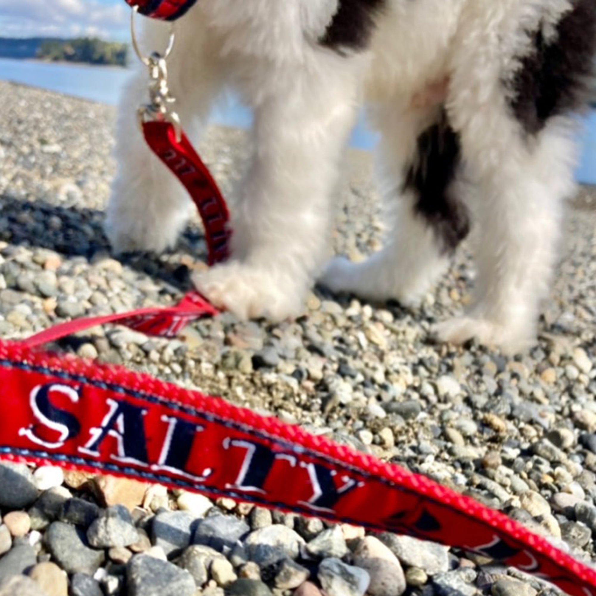 "Nautical" Leashes