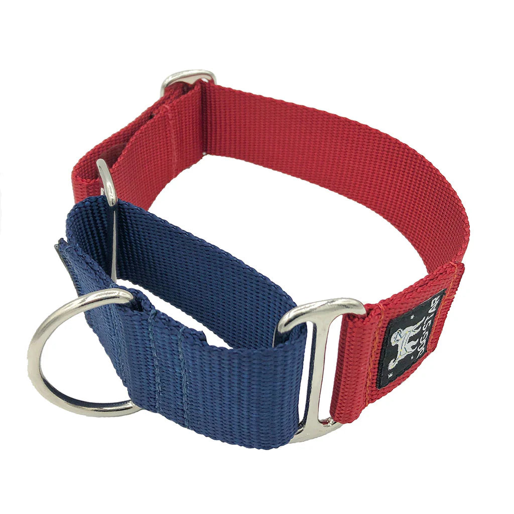 Color Pop Naked Nylon Martingale (5/8"-1" width)