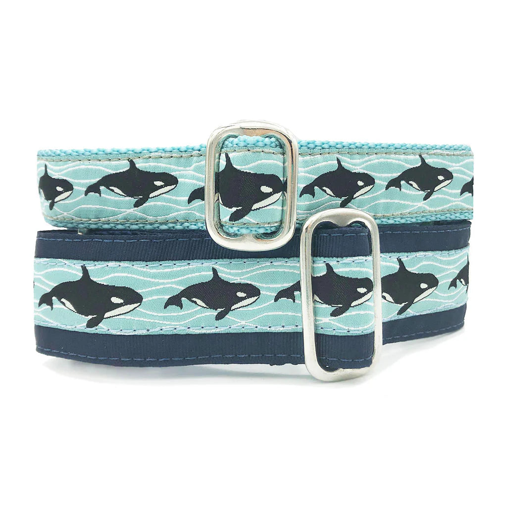 Orcas Collar