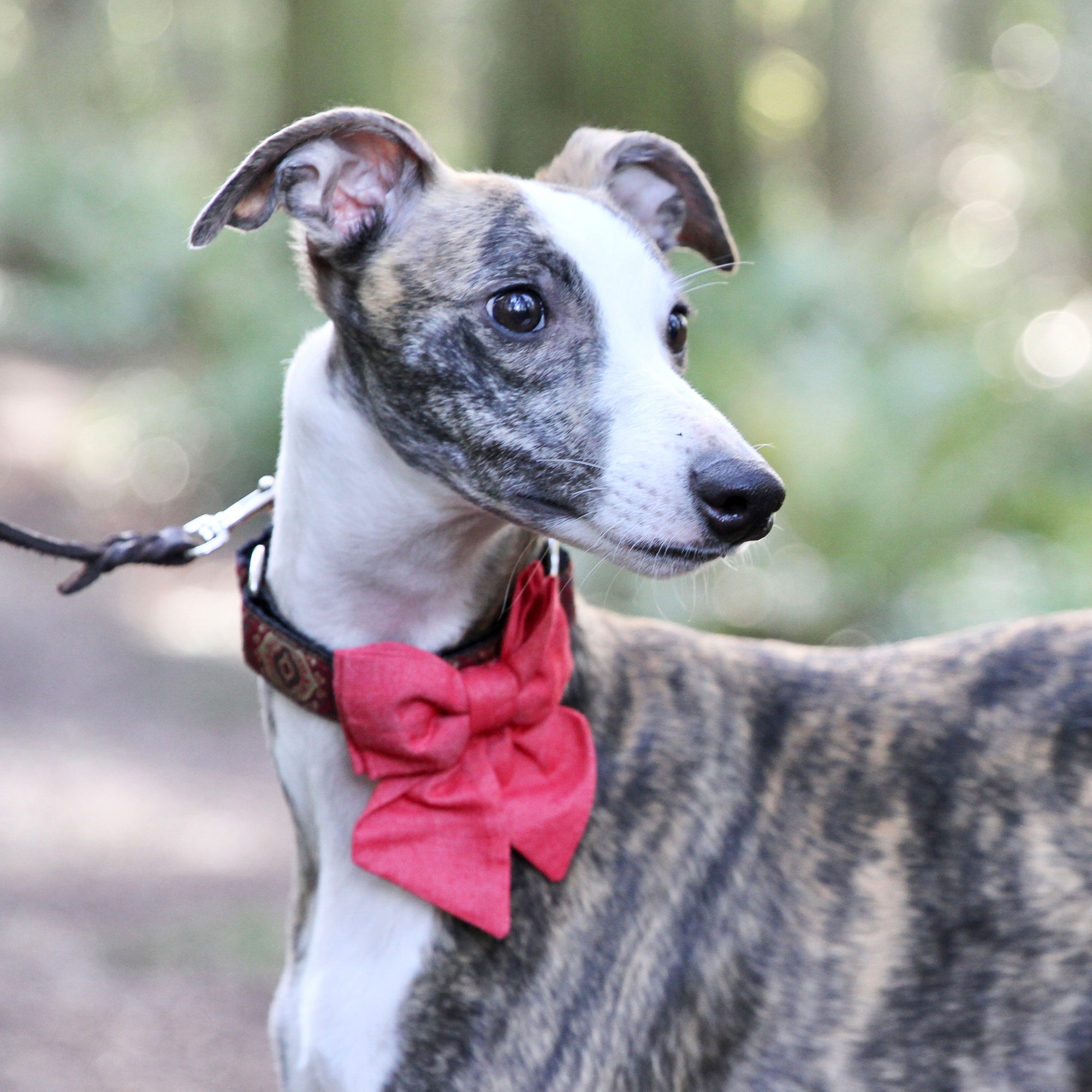 Plaid Preppy Collar Bow