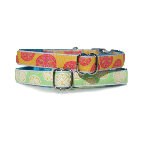 Citrus Collar 5 8 Width Only Classic Hound Collar Company
