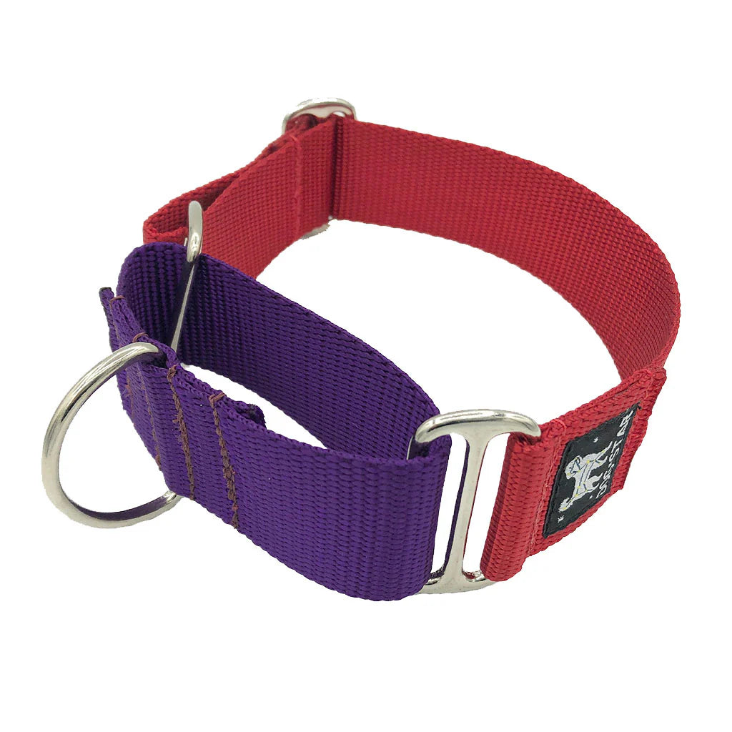 Color Pop Naked Nylon Martingale (1.5" Width)