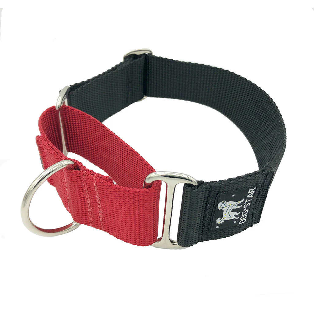 Color Pop Naked Nylon Martingale (1.5" Width)