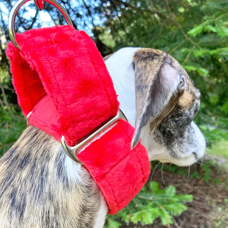 Minky Plush Collar