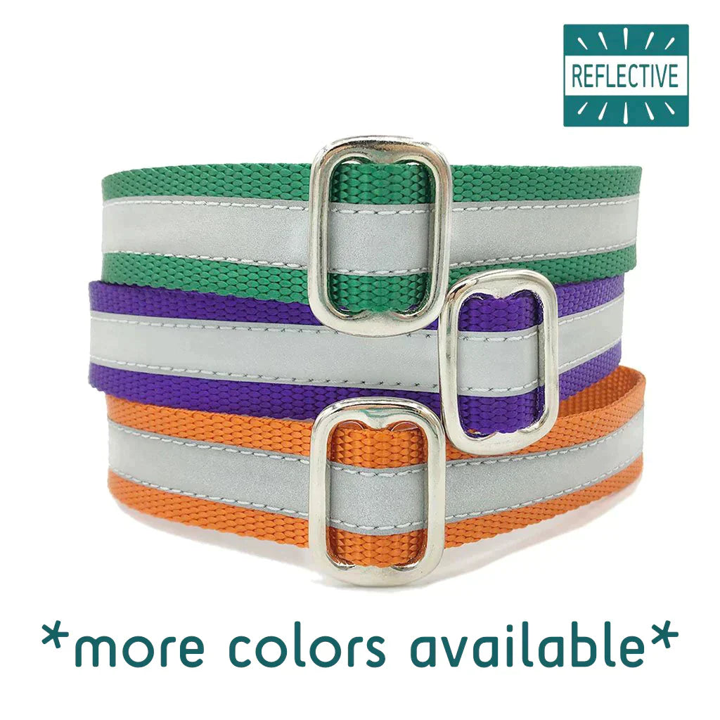 Reflective Naked Nylon Collar (5/8" & 1" Widths)