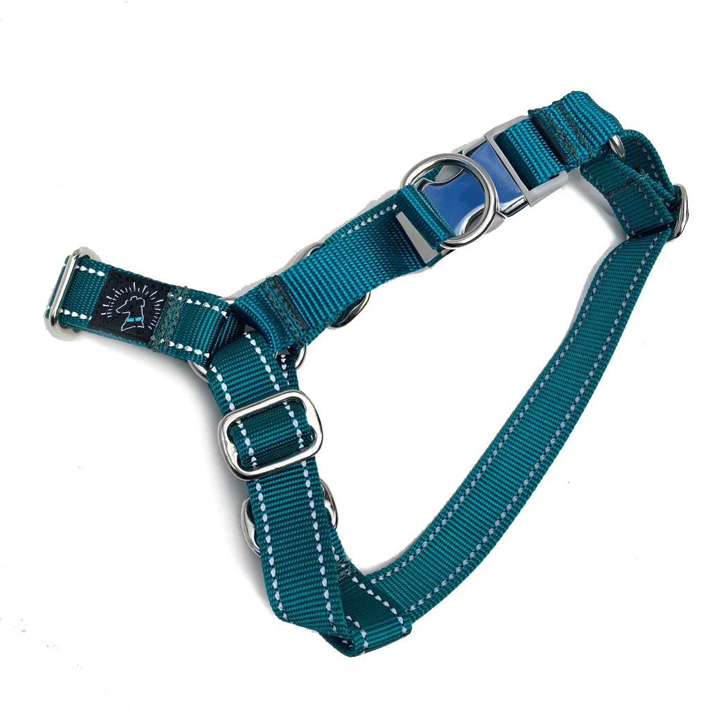Hug It Out Harness: Reflective Teal