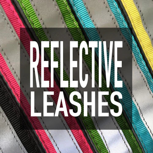 Reflective Leash