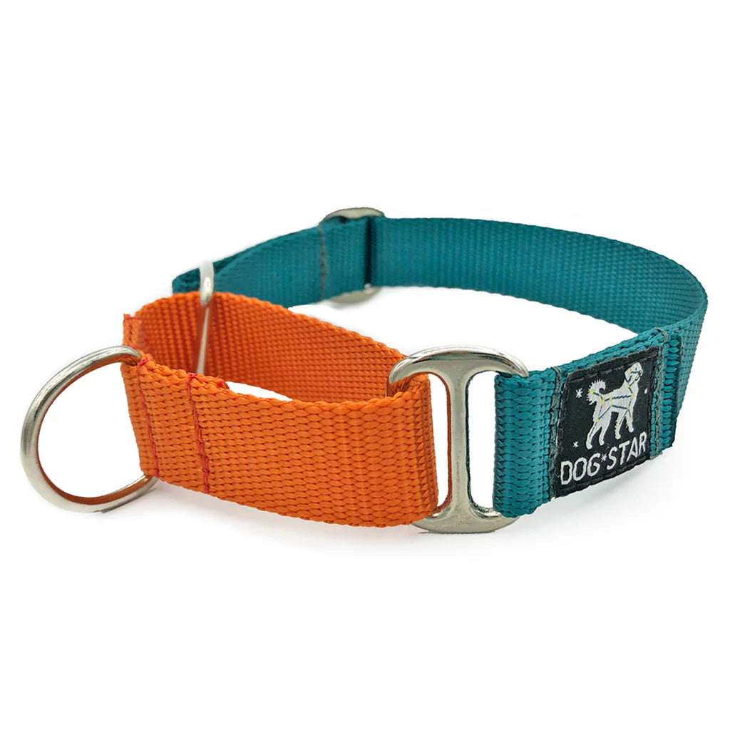 Color Pop Naked Nylon Martingale (5/8"-1" width)