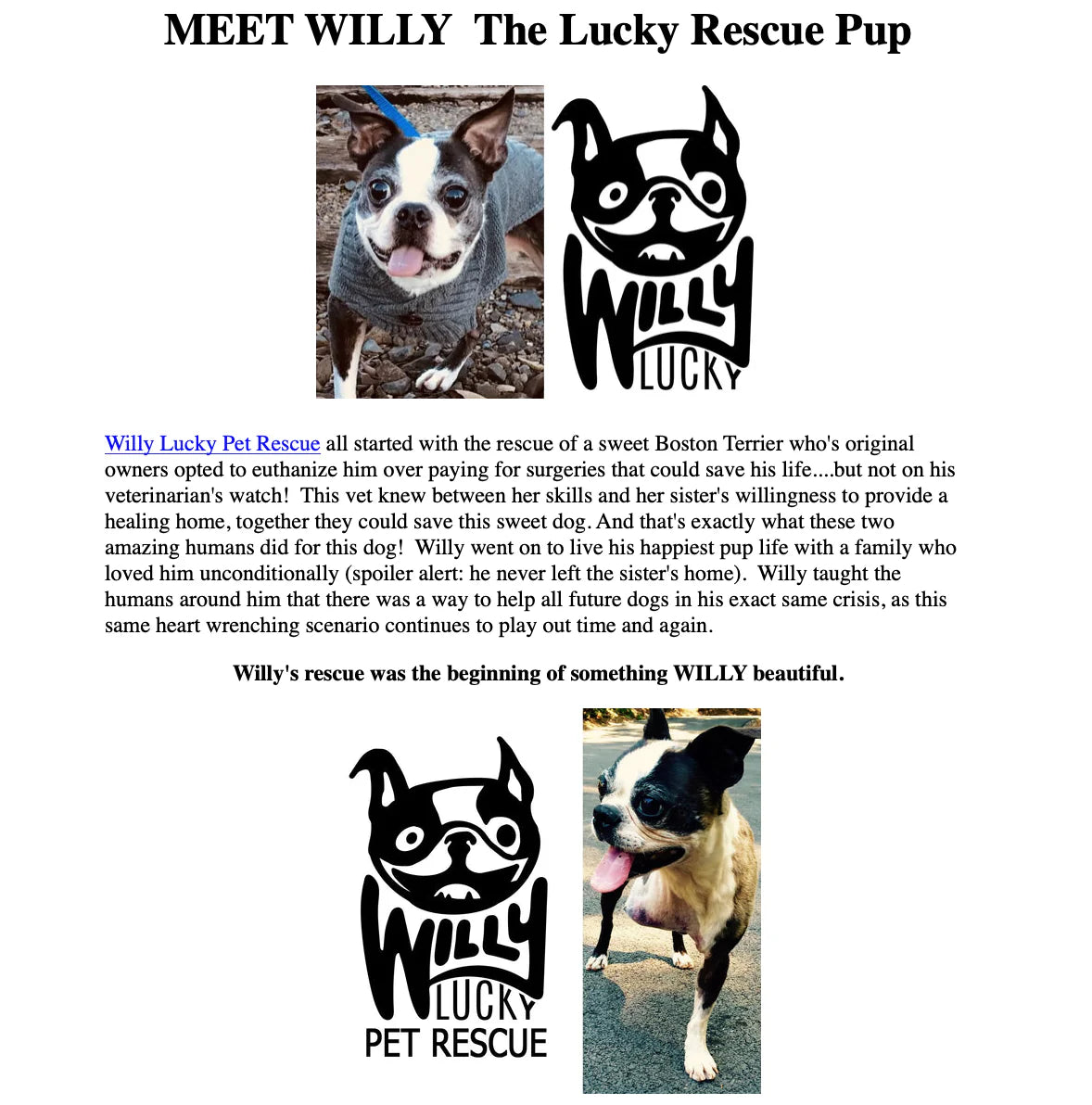 Willy Lucky Pet Rescue Collar