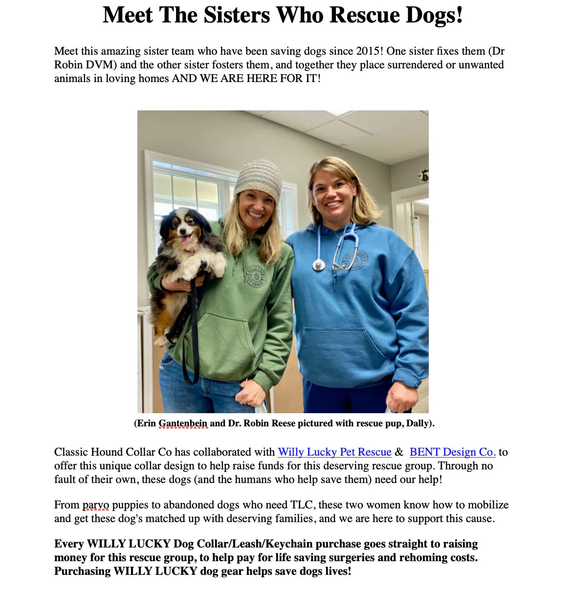 Willy Lucky Pet Rescue Leash