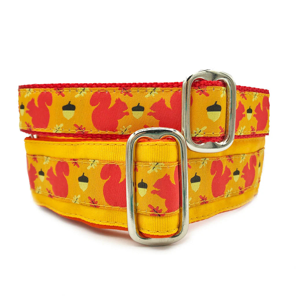 Squirrel Patrol Collar