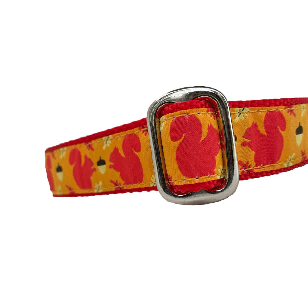 Squirrel Patrol Collar