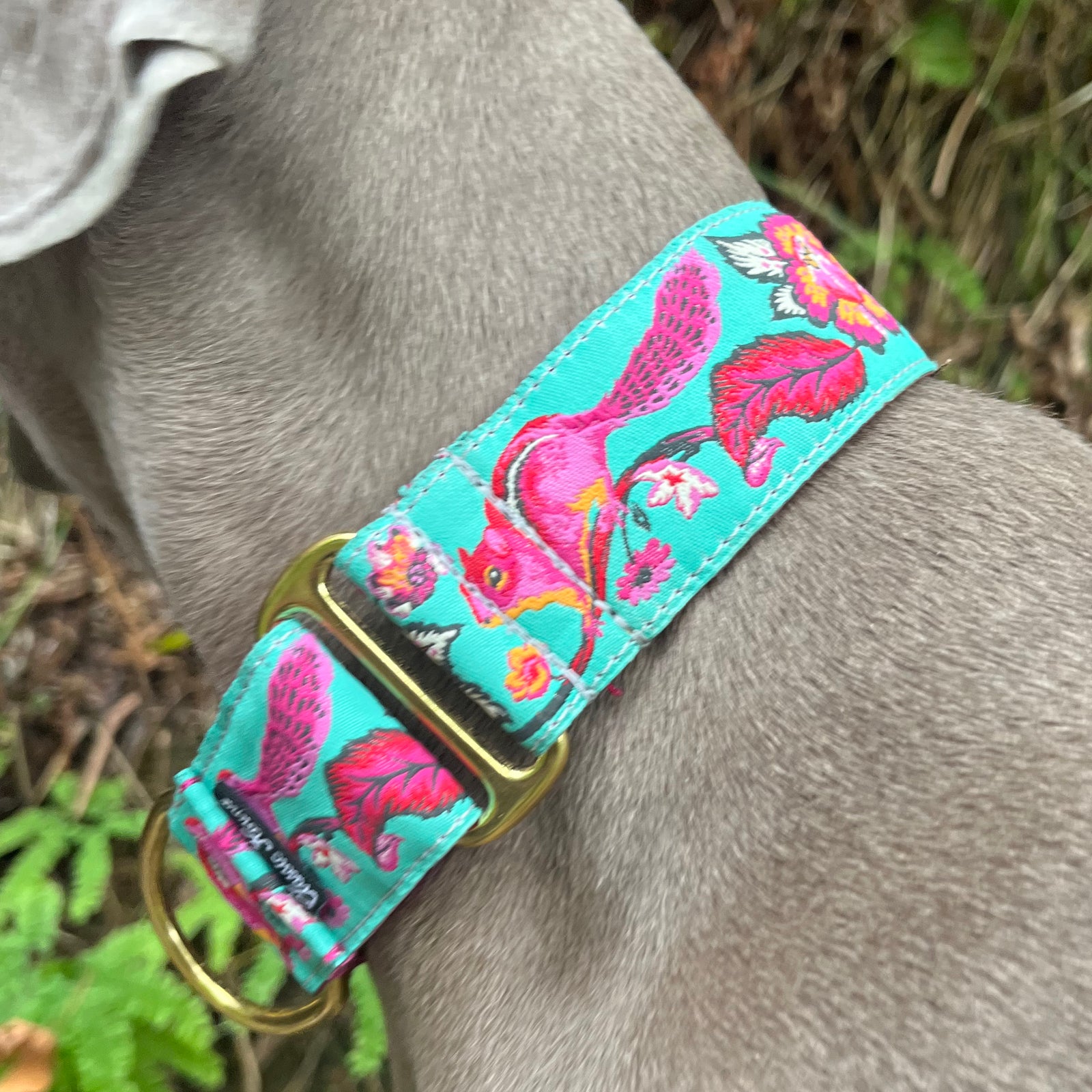 Tula Chipmunk Collar (1.5" width only)