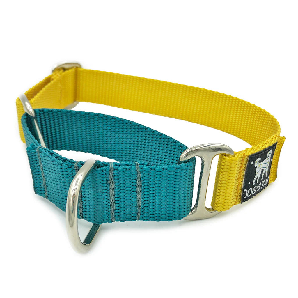 Color Pop Naked Nylon Martingale (5/8"-1" width)