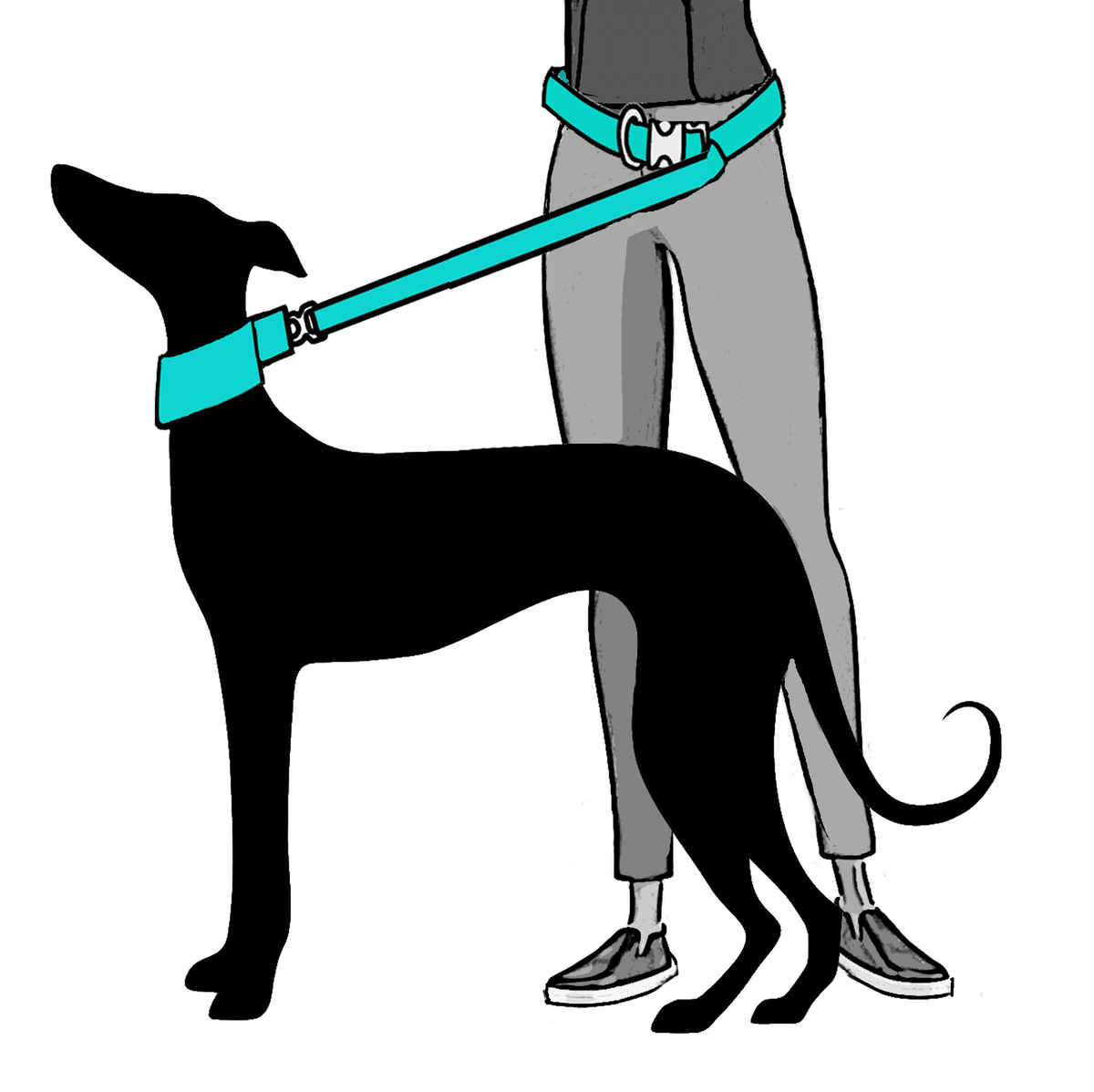 Urban-Leash-With-Woman-2024.gif