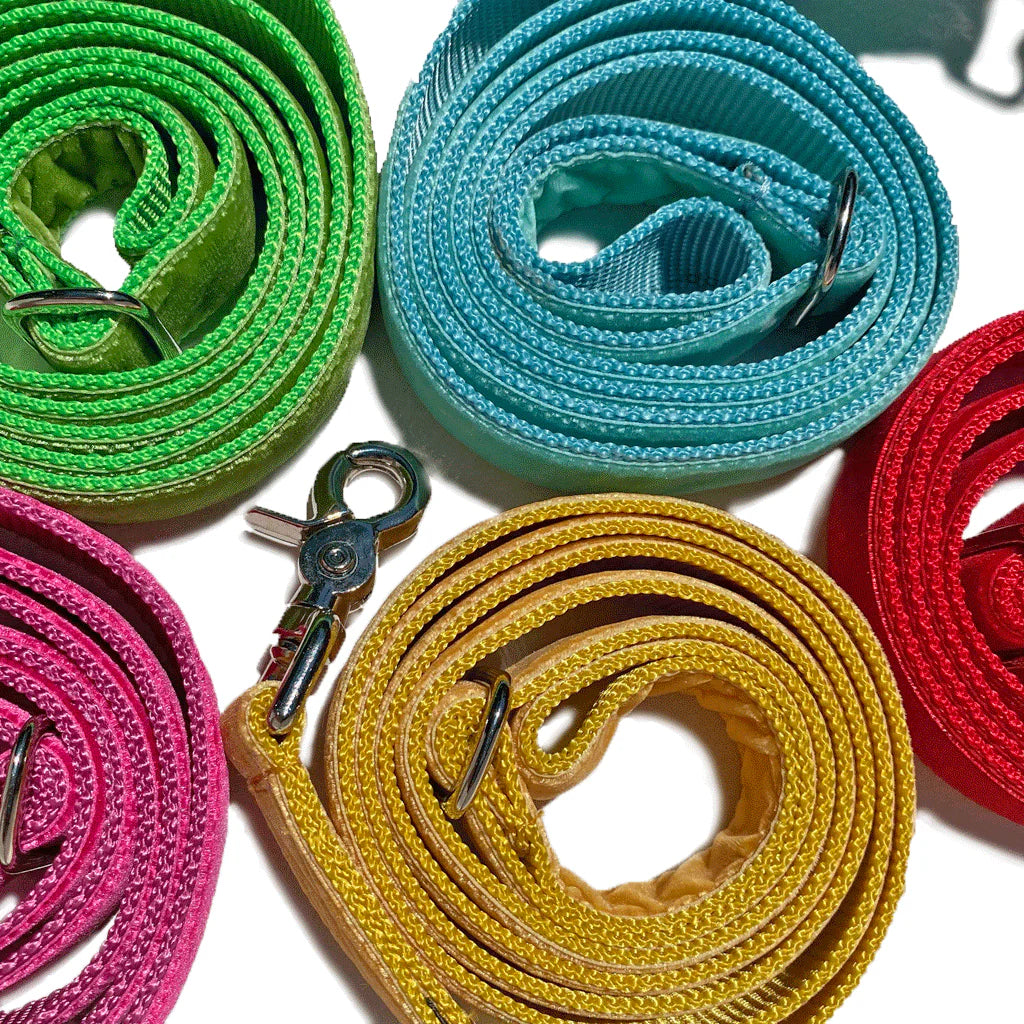 Velvet Leashes