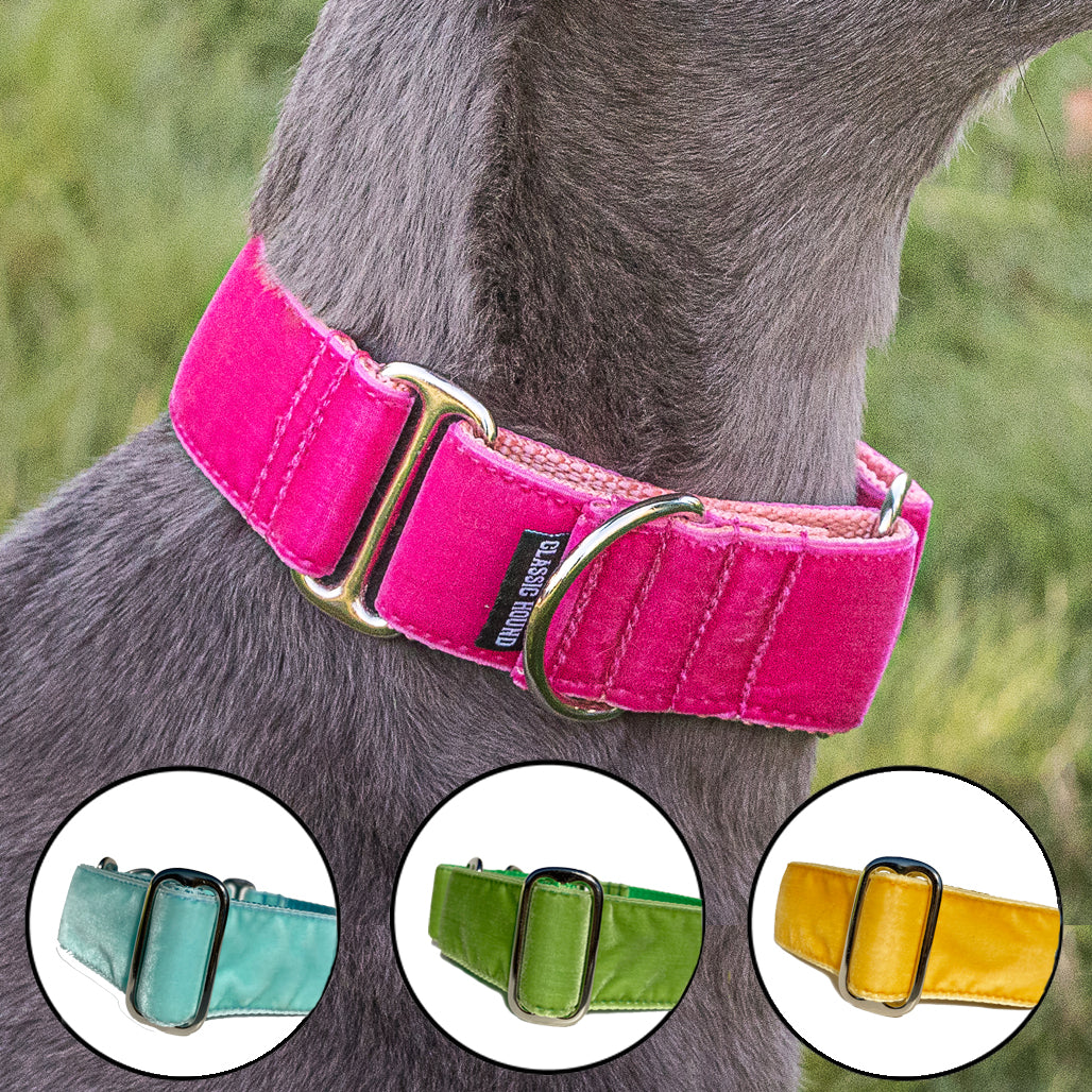 Unlined Furberry Plaid Buckle or Martingale Dog Collar by Dog Star