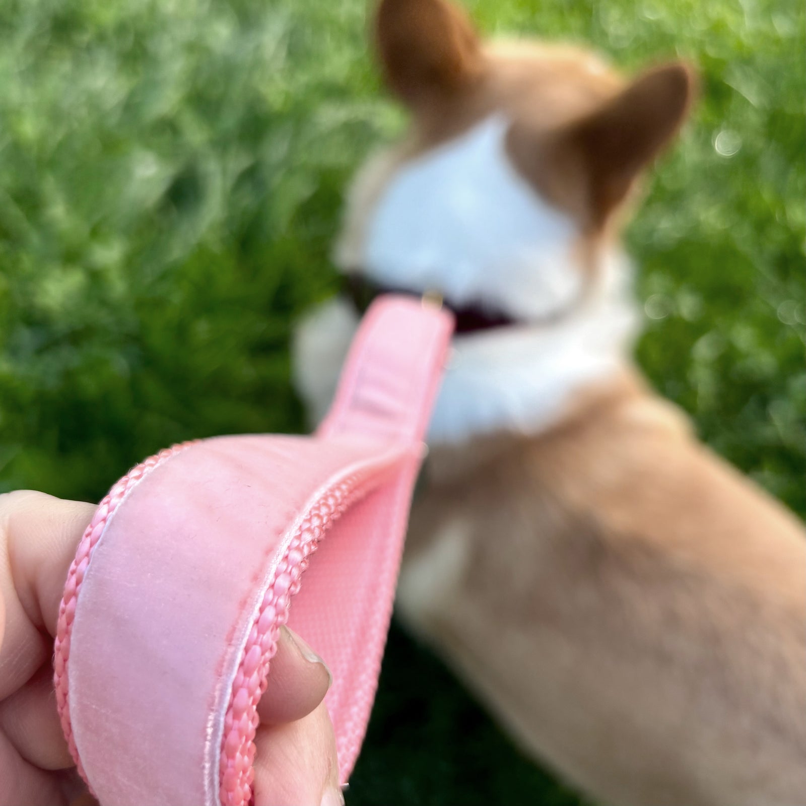 Traffic Handle: 1" Velvet