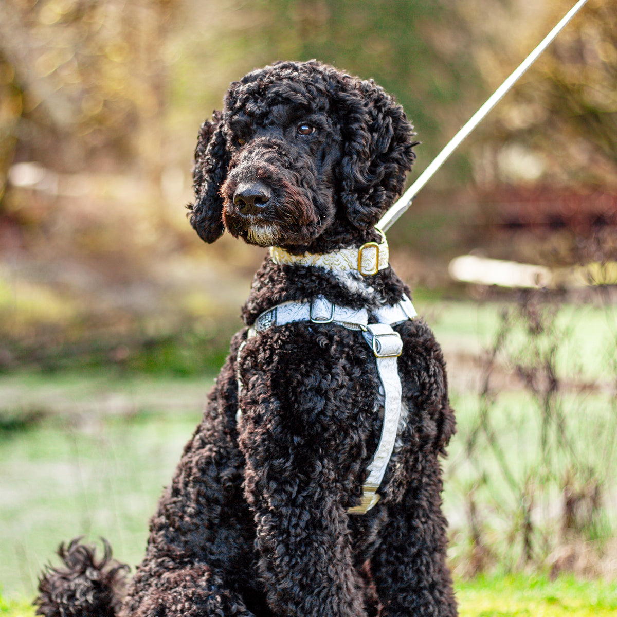 Hug It Out Harness: 1" Wedding Bells