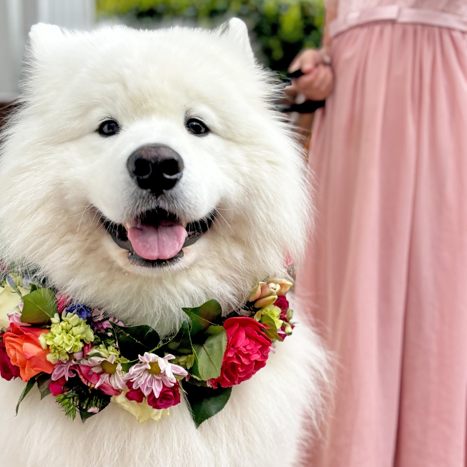 DIY Fresh Flower Garland Collar Kit