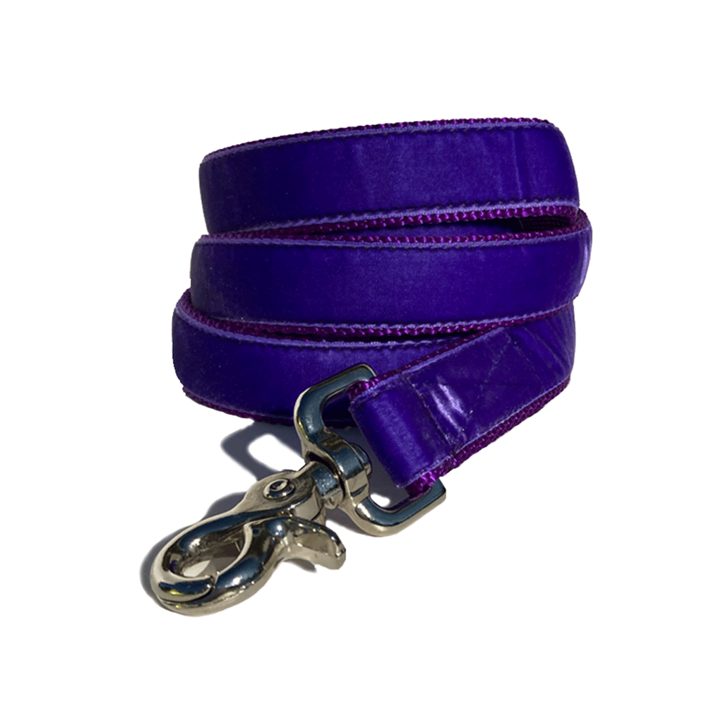 Hug It Out Harness: 1" Velvet