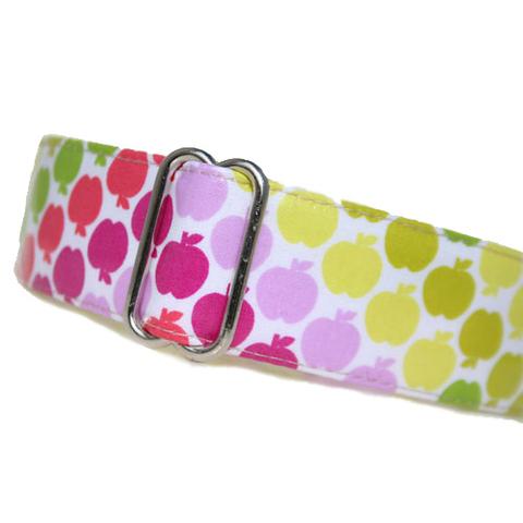 Apples to Apples Mudproof Collar
