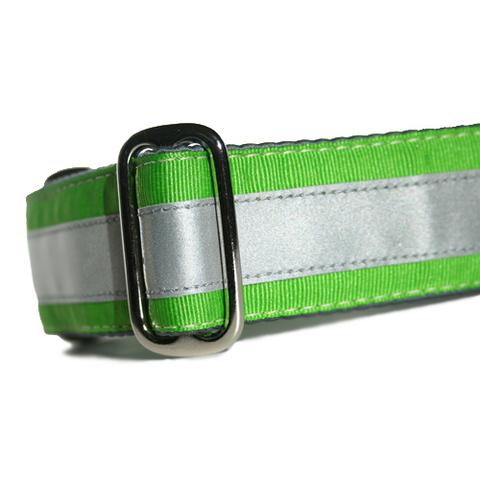 Reflective Collar