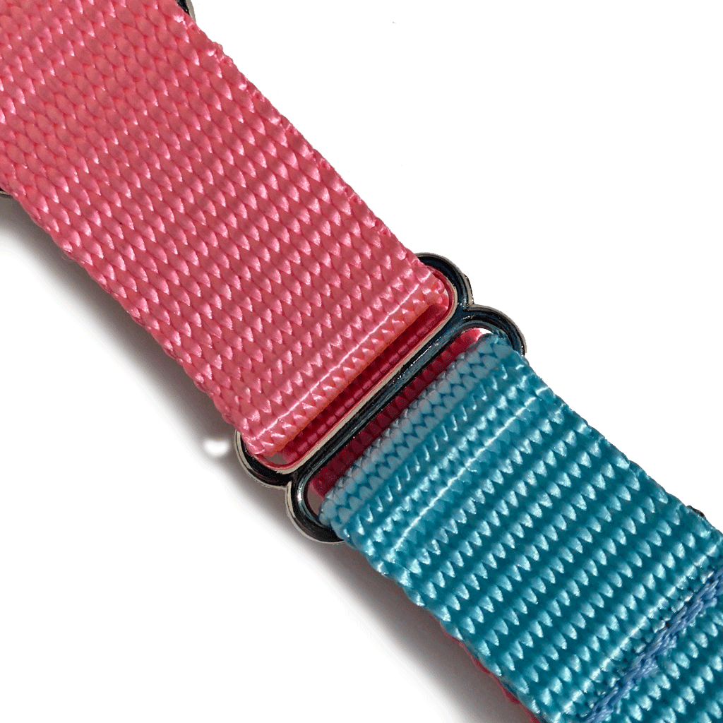 Hug It Out Harness: 1" Naked Nylon Solids