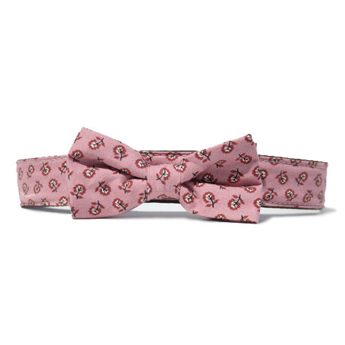 Collar Bow Tie Set - Gentleman's Flora