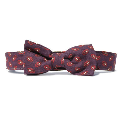 Collar Bow Tie Set - Gentleman's Paisley