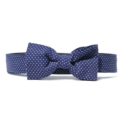 Collar Bow Tie Set - Pin Dot Navy