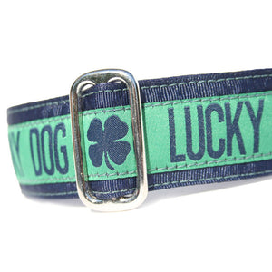 1.5" wide satin-lined green lucky dog buckle dog collar by Classic Hound Collar Co.