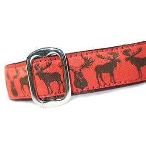 1" wide satin-lined moose martingale dog collar by Classic Hound Collar Co.