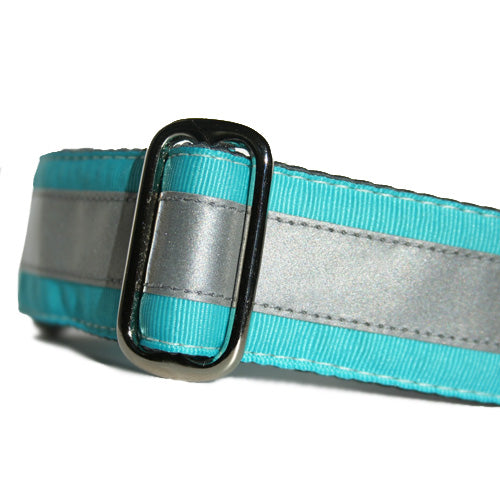 Reflective Turquoise Blue "No Leash" Collar