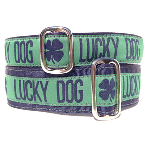 Lucky Dog Buckle Collar