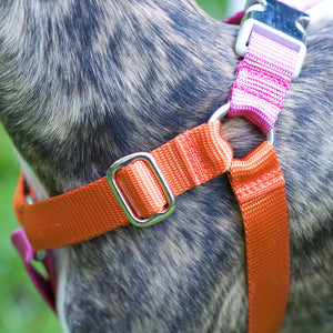 Hug It Out Harness - 1" Naked Nylon