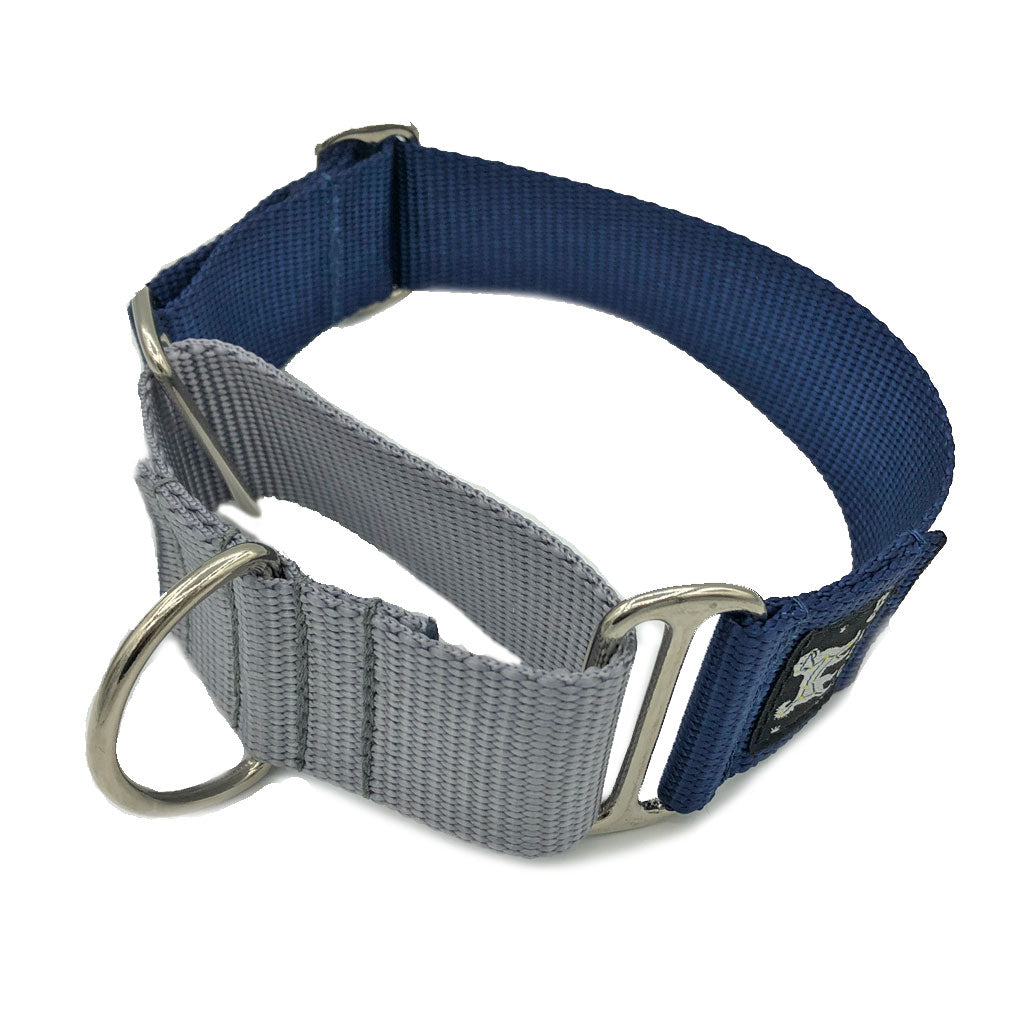 Martingale All Nylon Dog Collar