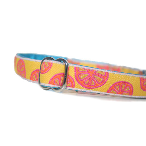 Citrus Collar (5/8" Width Only)